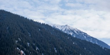 Karla kaplı görkemli dağlar yoğun bir kozalaklı ormanın üzerinde yükselirken, bulutlu gökyüzü yüksek dağlık bir çevrede kış veya sonbahar mevsiminin sessiz soğuğunu akla getiriyor.