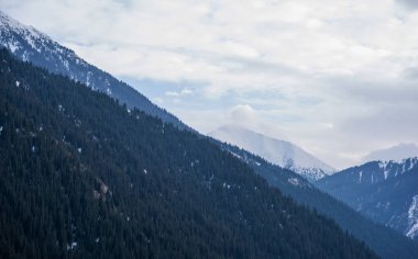 Karla kaplı görkemli dağlar yoğun bir kozalaklı ormanın üzerinde yükselirken, bulutlu gökyüzü yüksek dağlık bir çevrede kış veya sonbahar mevsiminin sessiz soğuğunu akla getiriyor.