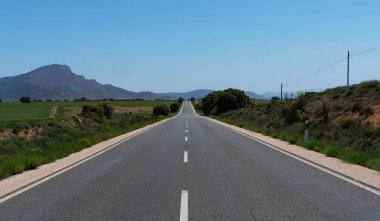 Yeşil tarlalar ve kayan tepelerle çevrili uzun düz bir yol ufukta uzanır. Açık mavi gökyüzü ve yol kenarındaki dağınık çalılar