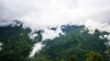 yemyeşil yemyeşil, sisli bir dağ manzarası alçak asılı bulutların yamaçlardaki sık ormanla iç içe geçerek dingin ve mistik bir atmosfer oluşturduğu yer.