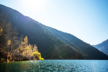 the ethereal glow of sunlight filtering through the pristine air over a tranquil mountain lake, highlighting the golden hues of autumn leaves amidst evergreens on the water's edge clipart