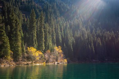 the ethereal glow of sunlight filtering through the pristine air over a tranquil mountain lake, highlighting the golden hues of autumn leaves amidst evergreens on the water's edge clipart