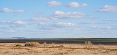 Uçsuz bucaksız bir gökyüzünün altında, bulutların zıt karanlık dünya ve aydınlığın üzerinde yüzdüğü engin, açık bir çayır. Ufukta sonbahar renkleriyle süslenmiş uzak bir sıra ağaç.