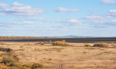 Uçsuz bucaksız bir gökyüzünün altında, bulutların zıt karanlık dünya ve aydınlığın üzerinde yüzdüğü engin, açık bir çayır. Ufukta sonbahar renkleriyle süslenmiş uzak bir sıra ağaç.