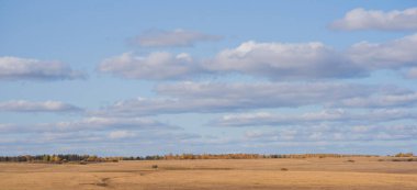 An expansive golden field stretches under a wide sky, with layers of white clouds. A distant treeline autumn's color, of yellow and orange foliage offering a contrast to the gold of the grassland. clipart