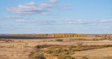 Sonbahar altınlarında parıldayan uzak bir ağaç sırasına uzanan çalılarla benekli yuvarlanan bir çayır. Yukarıda, gökyüzü bembeyaz bulutlarla dolu yumuşak bir mavi tuval.