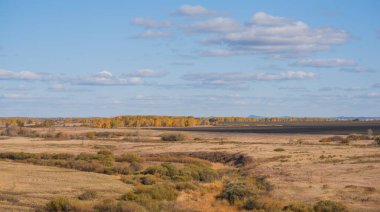 Sonbahar altınlarında parıldayan uzak bir ağaç sırasına uzanan çalılarla benekli yuvarlanan bir çayır. Yukarıda, gökyüzü bembeyaz bulutlarla dolu yumuşak bir mavi tuval.