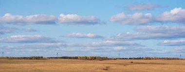 A vast open field with golden hues meets a distant treeline showing autumn's touch under a spacious sky adorned with gentle clouds clipart