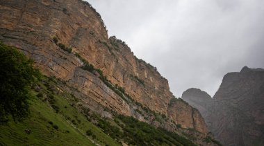Görünür katmanlı yüksek bir uçurum yüzeyi, kasvetli bulutlu bir gökyüzünün altında yemyeşil bir ormanın üzerinde yükseliyor..