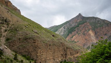 Görünür katmanlı yüksek bir uçurum yüzeyi, kasvetli bulutlu bir gökyüzünün altında yemyeşil bir ormanın üzerinde yükseliyor..