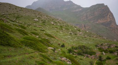 Kayalarla benekli manzaralı bir dağ yamacı ve kır çiçekleri serpiştirilmiş iki at yemyeşil bir arazide sisli bir gökyüzünün altında otluyor..
