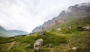Dağlık çayırlar, bulutlu bir gökyüzünün altında yeşil alanda dolanan bir patikayla sisli dağ tepelerine çıkıyor.