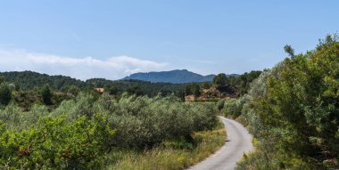 Serin manzara, İspanyol kırsalının kayan tepelerini yakalar, yemyeşil zeytin ağaçları ve yeşillik ile süslenir. Yeşil alana açılan dolambaçlı yol..