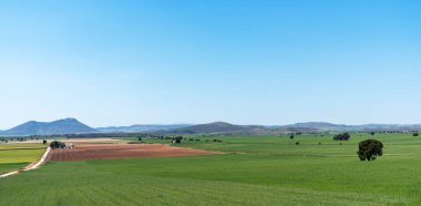 İspanya 'daki La Mancha' nın geniş düzlükleri açık mavi bir gökyüzünün altında sonsuz bir şekilde uzanır. Yeşil ve kahverengi yama alanları farklı bir tepe ile arazi.