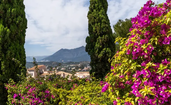 Canlı bougainvillea ve yemyeşil çerçeve bir Akdeniz kasabasının pitoresk bir manzarası. Uzun selvi ağaçları, parçalı bulutlu bir gökyüzünün altında muazzam bir zemin üzerinde dururlar..