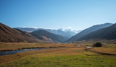 Sonbahar renklerinde çalılar ve açık mavi gökyüzünün altında karla kaplı dağ zirveleri olan bir vadiden akan başıboş bir nehir.