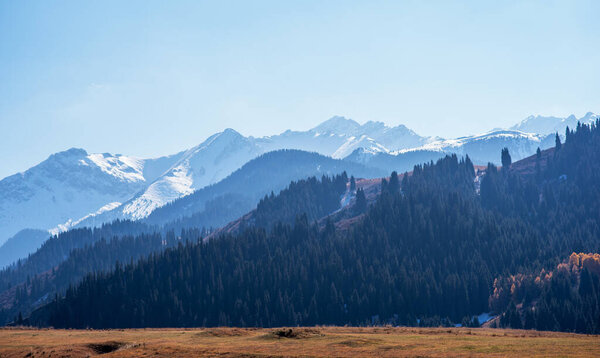 ландшафт с лугом ведет к слоистым темным хвойным лесам, кульминацией которых являются величественные заснеженные горные вершины на фоне ясного неба, нетронутой дикой природы