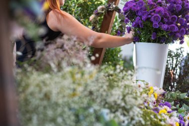 A florist arranges vibrant purple asters in a white vase, surrounded by colorful flowers and greenery in an outdoor market setting with soft natural light and blurred background details. clipart