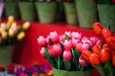 Hollanda 'nın ana turizm sembolü Hollanda ahşap ayakkabıları, ahşap laleler ve bir dükkan penceresi olan yel değirmenlerinin minyatürleridir. Geleneksel ahşap renkli laleler pazarda satılıyor. Renkli hatıralar.