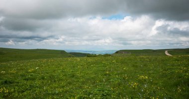 Geniş yeşil çayır, bulutlu bir gökyüzünün altında sarı çiçeklerle kaplı, uzak bir dağ sırası ve sağda yalnız ve dolambaçlı bir yol, sakin, doğal bir manzarayı betimliyor.