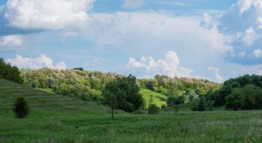 Uçsuz bucaksız gökyüzünün altında, dağınık bulutlu kır çiçeklerinden bir duvar halısı ile yayılmış bir çayır. Ağaçlarla çevrili tepeler, bereketli, doğal bir manzaranın dingin güzelliğini gözler önüne seriyor..