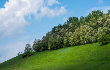 Canlı yeşil otları olan sakin bir yamaç, açık renkli yaprakları olan ağaçlardan oluşan bir bahçe. Ağaçlar tam yapraklı, bahar sonu ya da yaz sonu. Pofuduk beyaz bulutlu açık mavi bir gökyüzü.