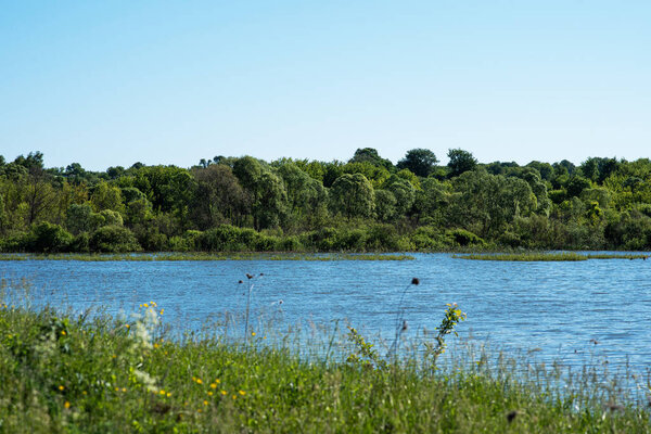 A tranquil lakeside landscape unfolds with a rich tapestry of dense green foliage lining the shores, reflecting in the shimmering blue waters under a clear sky, exuding serenity and natural beauty