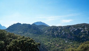 Berrak gökyüzünün altındaki yemyeşil bir dağ sırasının geniş manzarası, yaz sonlarında engebeli araziyi ve yoğun Akdeniz bitkisini vurguluyor.