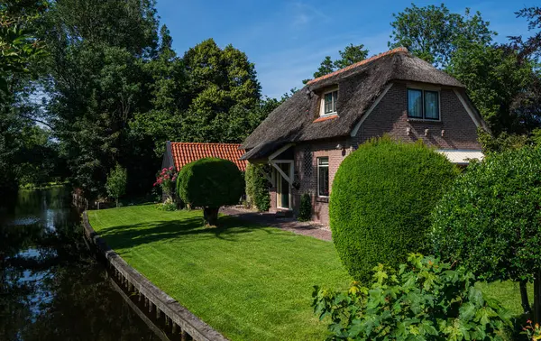 Hollanda, Giethoorn 'da sazdan çatılı geleneksel tuğla ev, temiz mavi bir gökyüzü altında düzgün budanmış ağaç, kırmızı kiremitli, çiçek açan bitkiler ve yeşil çimlerle çevrili.