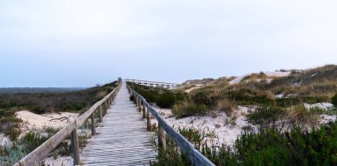 Portekiz 'de sakin bir plaj sahnesi. Kum tepeciklerinin arasından okyanusa giden tahta bir tahta kaldırım, dalgaların bulutlu bir gökyüzünün altında kıyıya vurduğu yer. Nadir bitki örtüsü ve akşam ışığı sakin bir atmosfer yaratır..
