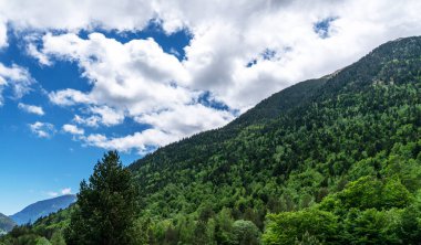 Pireneler 'de yemyeşil bir vadi, Andorra, dağları kaplayan yoğun ormanlarla dolu parlak mavi bir gökyüzü altında dağınık bulutlarla.