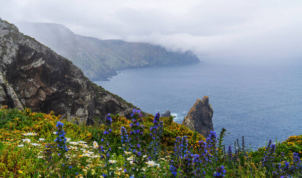 Overlooking the Atlantic, the cliff's rugged beauty is softened by vibrant wildflowers. Mist enshrouds distant peaks.