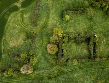  Terk edilmiş eski bir bina ve ağaçların kuş bakışı görüntüsü.