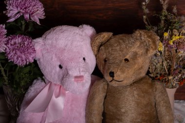 Modern pelüş ayı ve peluş ayı portresi. İnsan sağlığı, gençlik ve yaşlılık kavramı. 