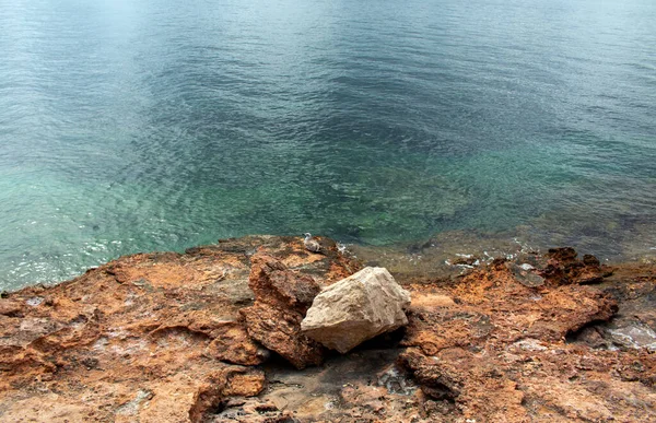 坐在海边的岩石上 伊比萨岛 巴拉克岛 西班牙 地中海 — 图库照片