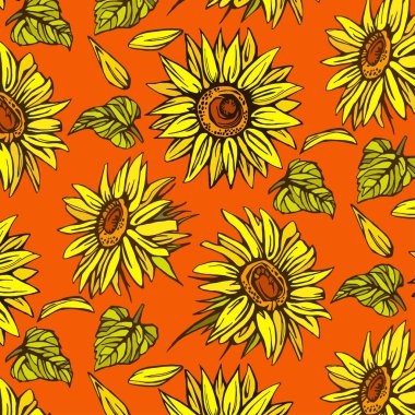 Ayçiçeği eli çizimi. Ayçiçeği taslağı. Ayçiçeği karalaması. ayçiçeği çizgisi.