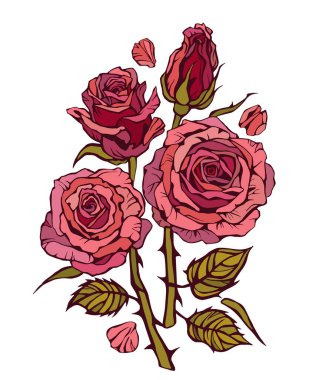 Gül buketi. Gül buketi vektör çizimi. Aşk çiçeği. Hediye kağıdına sarılı çiçek buketi. Doğum günü, sevgililer günü, kadınlar günü, anneler günü gibi özel günler için bir hediye.