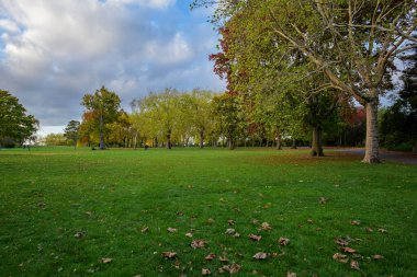 Londra - 10: 15 2022: Roundwood Park manzarası