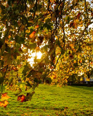 Londra - 10: 15 2022: Sonbahar Işığı