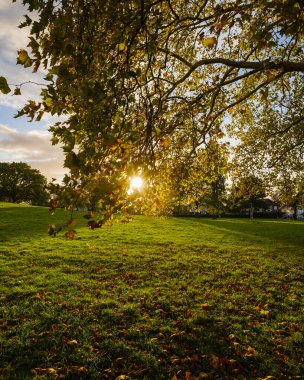 Londra - 10: 15 2022: Gün batımında Roundwood Park manzarası