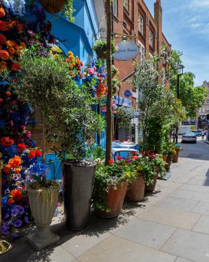Londra - 06 16 2022: Sinyor Sassi 'nin dışındaki Knightsbridge Grn' deki San Carlo restoranının çiçek süslemeleri