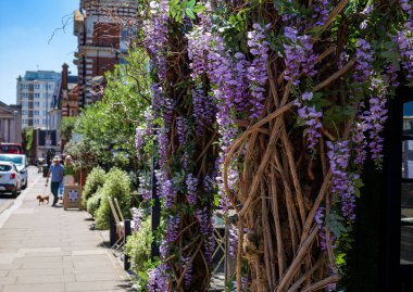 Londra - 06 22 2022: Chelsea Çiftçi Pazarı 'nda çiçek ve bitki duvarı