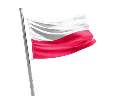 Beyaz arka plan üzerinde bayrak sallayarak Polonya