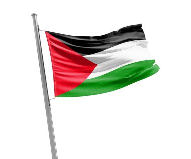 Beyaz arka plan üzerinde bayrak sallayarak Palestine