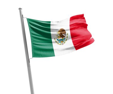 Beyaz arka plan üzerinde bayrak sallayarak Meksika