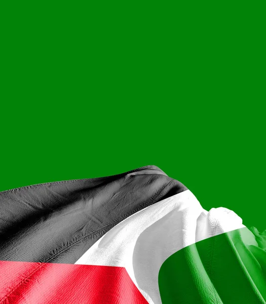 Palesztina Zászló Zöld Ellen — Stock Fotó