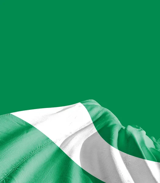 Nigerianische Flagge Gegen Grün — Stockfoto