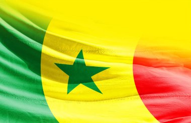 Senegal bayrağı sallıyor.