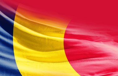 Chad bayrağı yakına sallıyor.