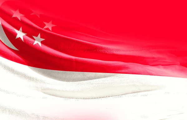 シンガポール国旗を振り上げる — ストック写真
